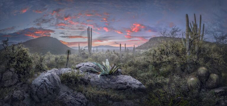 Before the Sun Raises Over the Desert. Landscape photograph by Luis Lyons, winner of the Shoot The Frame Landscape photography award, February 2024