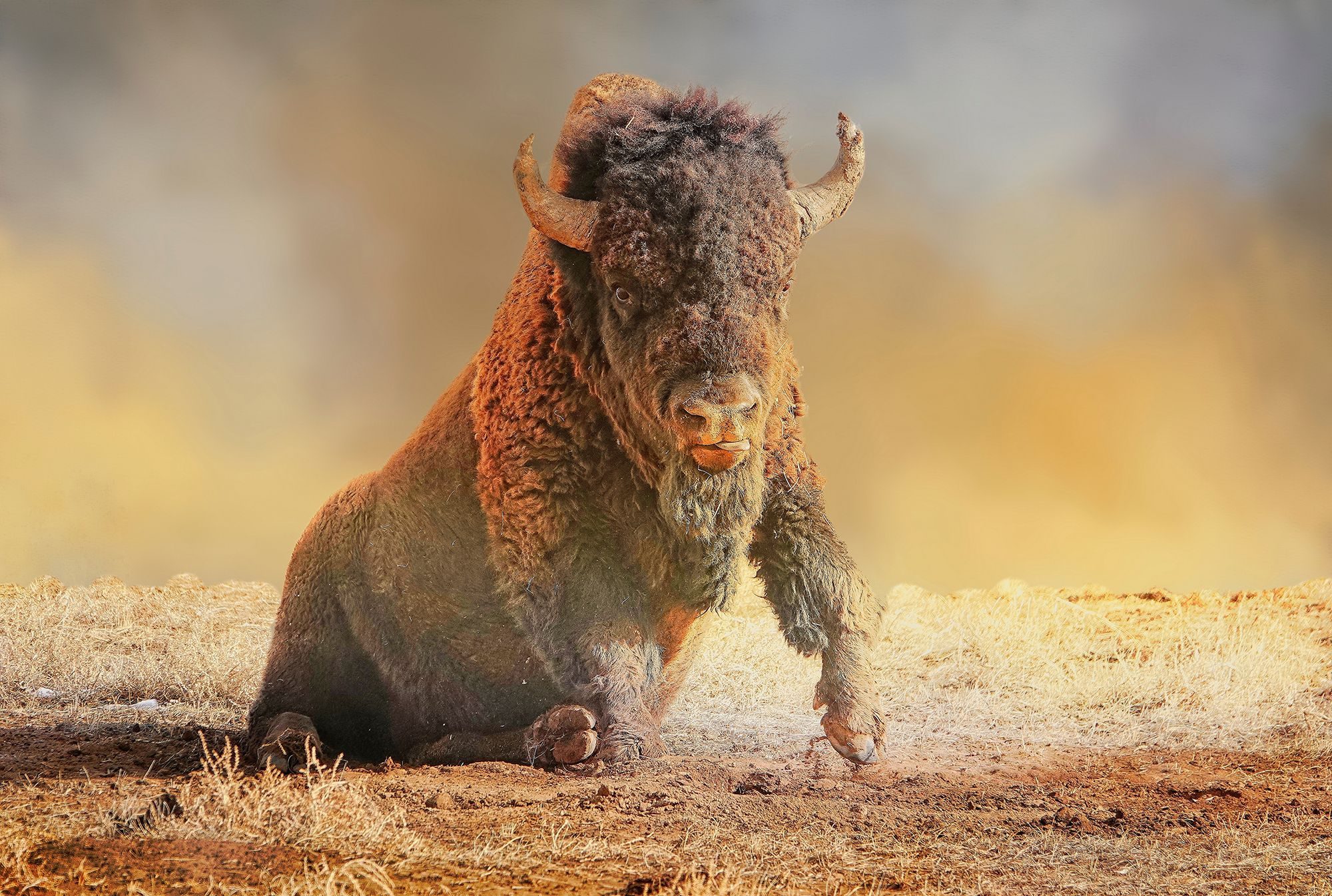 Wildlife photograph by Maureen Ravnik, finalist in the Shoot The Frame Wildlife photography award, March 2019
