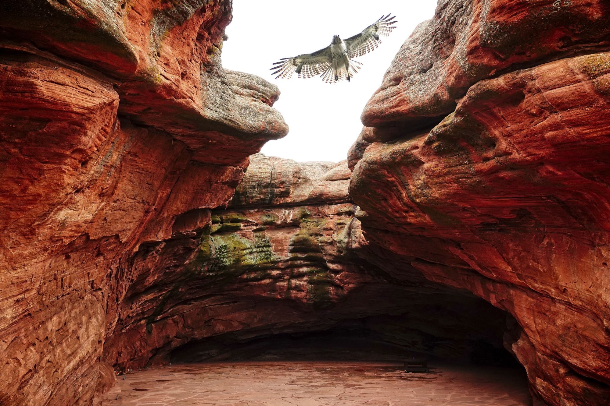 Wildlife photograph by Maureen Ravnik, finalist in the Shoot The Frame Wildlife photography award, May 2019