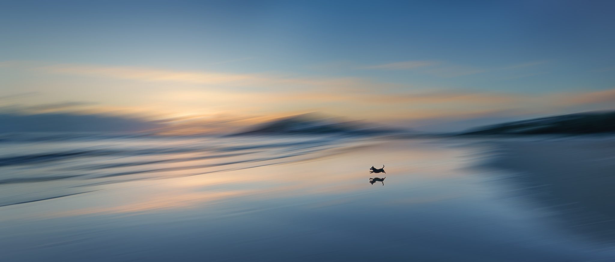 Run. Wildlife photograph by Tim Burgess, finalist in the Shoot The Frame Wildlife photography award, December 2023